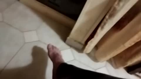 dthedog12 online show from November 8, 2025, 10:30 pm