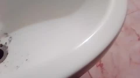 dthedog12 online show from November 22, 2025, 9:36 pm