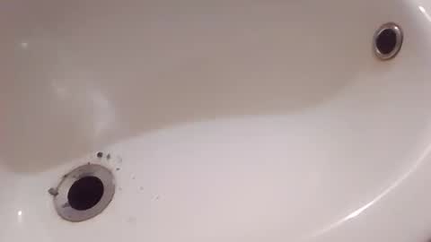 dthedog12 online show from November 23, 2025, 10:31 pm