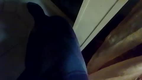 dthedog12 online show from January 9, 2026, 2:14 am