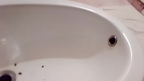 dthedog12 online show from January 10, 2026, 8:21 pm