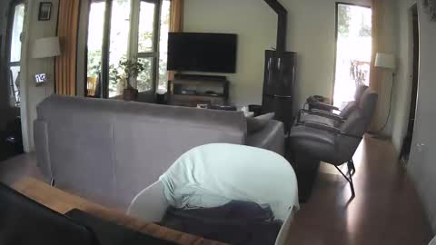 dutchsmooth online show from September 10, 2025, 9:42 am