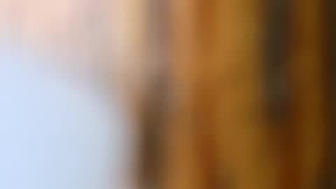 Snapshot of dvelope chatting on October 14, 2025, 9:21 am dVe1oPe online show from October 14, 2025, 9:21 am