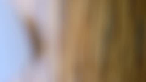 Snapshot of dvelope chatting on October 17, 2025, 9:56 am dVe1oPe online show from October 17, 2025, 9:56 am