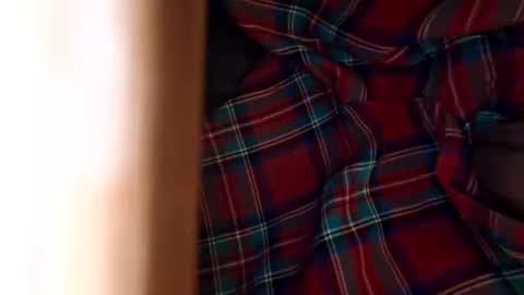 Snapshot of dvelope chatting on November 8, 2025, 11:10 am dVe1oPe online show from November 8, 2025, 11:10 am