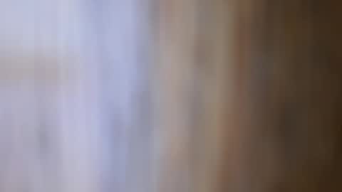 dVe1oPe online show from February 21, 2026, 10:16 am