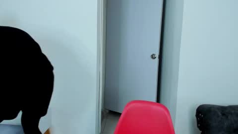 Dylan Taylor online show from October 5, 2025, 4:00 am