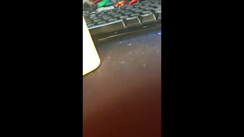 Lizy John online show from March 9, 2026, 4:55 pm