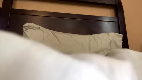 earl3232 online show from February 14, 2026, 9:33 pm