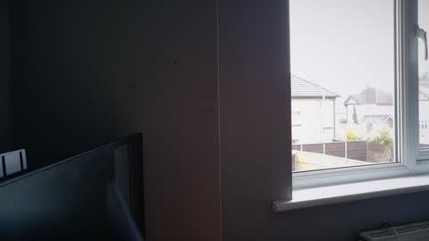 Nadia Ferreira  online show from March 17, 2026, 9:12 am