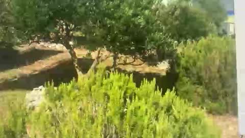 Snapshot of ebnk15 chatting on September 30, 2025, 8:08 am ebnk15 online show from September 30, 2025, 8:08 am