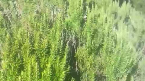 Snapshot of ebnk15 chatting on October 21, 2025, 1:12 pm ebnk15 online show from October 21, 2025, 1:12 pm