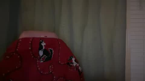 americnbarbie online show from November 21, 2025, 2:21 am