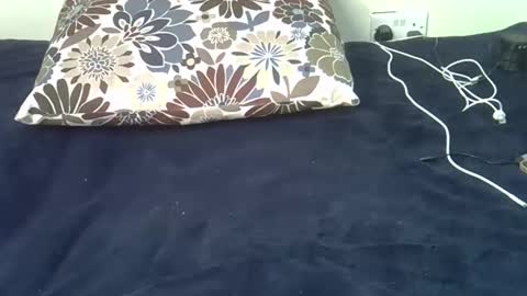Snapshot of ebony_malika chatting on February 26, 2025, 2:36 pm malika online show from February 26, 2025, 2:36 pm