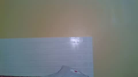 ebonytanqueen online show from November 29, 2025, 9:07 pm