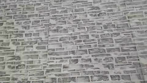 edithmanning online show from November 10, 2025, 6:12 am