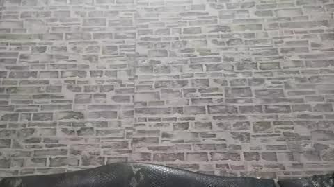 edithmanning online show from November 12, 2025, 7:53 am