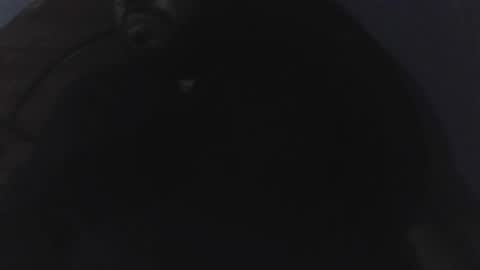 Snapshot of edu4394 chatting on March 23, 2026, 2:37 am edu4394 online show from March 23, 2026, 2:37 am