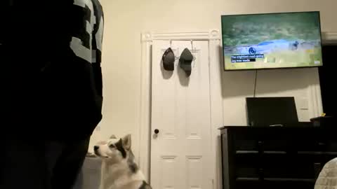 Snapshot of edvmendez1766 chatting on October 27, 2025, 5:33 am edvmendez1766 online show from October 27, 2025, 5:33 am