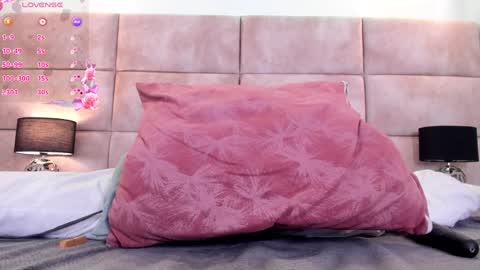 Eevee online show from January 13, 2025, 2:53 pm