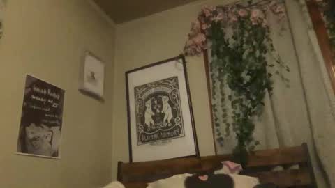 eggnog_and_booty online show from May 18, 2026, 4:07 am
