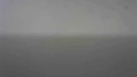 EIder online show from February 22, 2026, 3:51 am