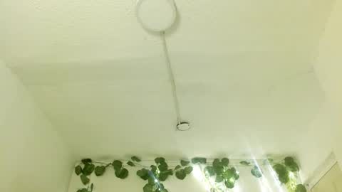 eiviiy1609 online show from October 8, 2025, 2:04 pm