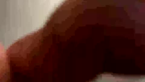 PiedPiper online show from May 3, 2026, 11:27 am