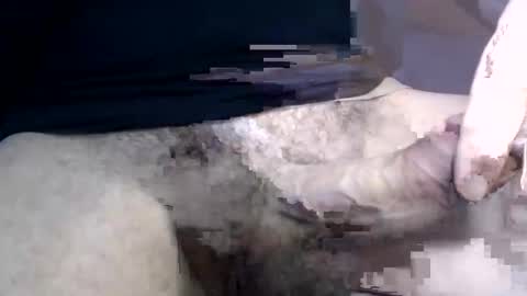 el gato lusty online show from January 30, 2025, 1:42 pm