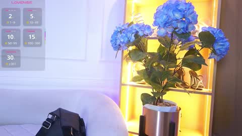 Elasummeer online show from December 2, 2025, 11:48 am