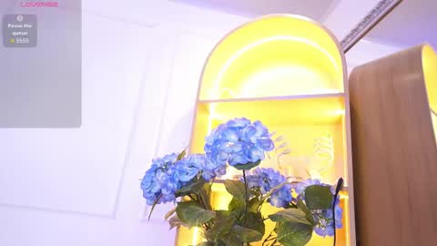 Elasummeer online show from December 18, 2025, 11:49 am