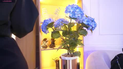 Elasummeer online show from December 20, 2025, 11:50 am