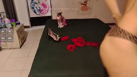 Elektra and Konan online show from September 20, 2025, 12:06 pm