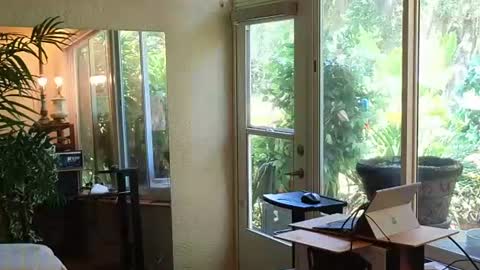 eliberator online show from June 13, 2026, 3:32 pm