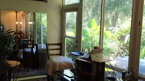 eliberator online show from June 28, 2026, 6:36 pm