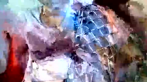 Snapshot of elina_roy03 chatting on November 6, 2025, 7:31 am elina_roy03 online show from November 6, 2025, 7:31 am