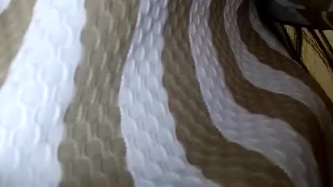 Snapshot of elina_roy03 chatting on December 1, 2025, 2:38 am elina_roy03 online show from December 1, 2025, 2:38 am