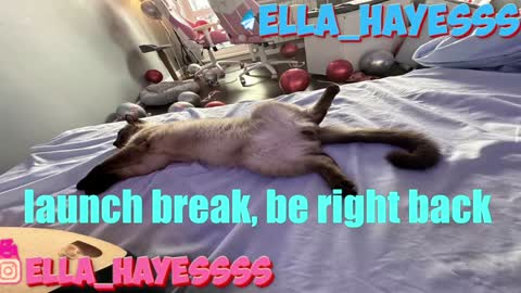 Snapshot of ella_hayes chatting on January 7, 2025, 12:45 am Ella NEXT STREAM 1TH DECEMBER 1200 - 0800 AM AT MOSCOW TIME online show from January 7, 2025, 12:45 am