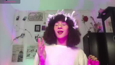  . online show from November 26, 2025, 7:37 pm