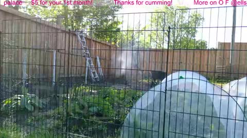Ella Bella Bo Bella online show from June 1, 2026, 1:35 pm