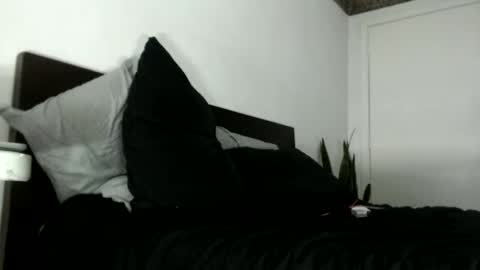 elputoquetegusta online show from December 3, 2025, 10:08 pm