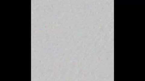 Ely online show from September 29, 2025, 11:48 am