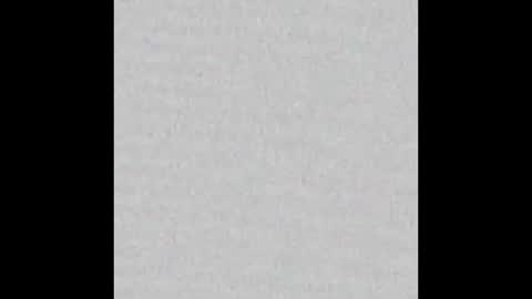 Ely online show from September 30, 2025, 11:48 am