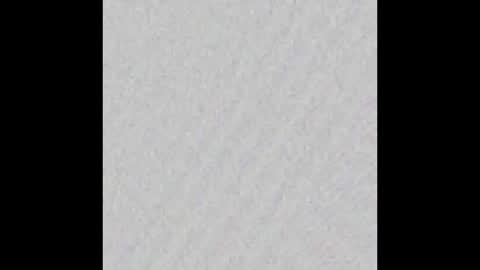 Ely online show from October 1, 2025, 11:27 am