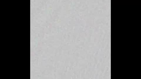 Ely online show from October 2, 2025, 11:39 am