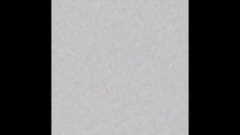 Ely online show from October 3, 2025, 11:29 am