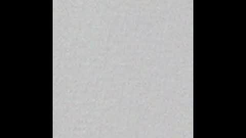 Ely online show from October 21, 2025, 11:33 am