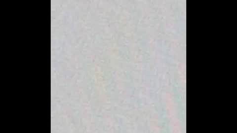 Ely online show from October 25, 2025, 11:29 am