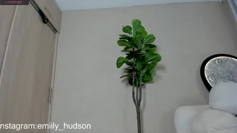Snapshot of emily_huddson_ chatting on June 30, 2026, 9:49 pm independet model online show from June 30, 2026, 9:49 pm