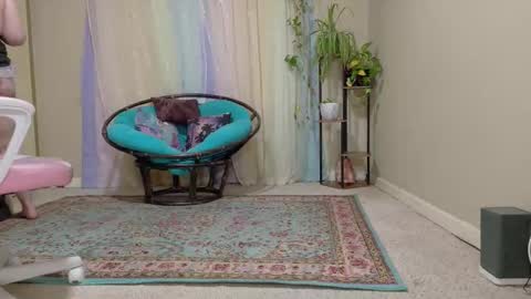 emily haze online show from October 24, 2025, 6:26 pm